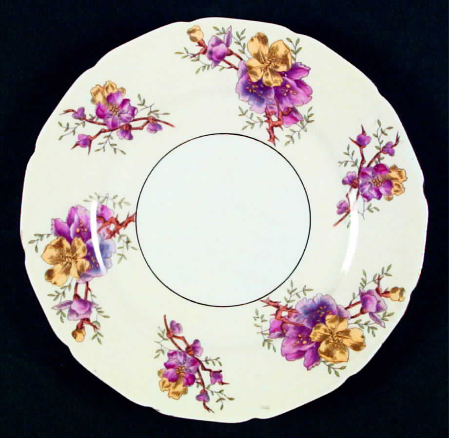 Apple Blossom (White Center, Cream Rim) Salad Plate by Black Knight-1