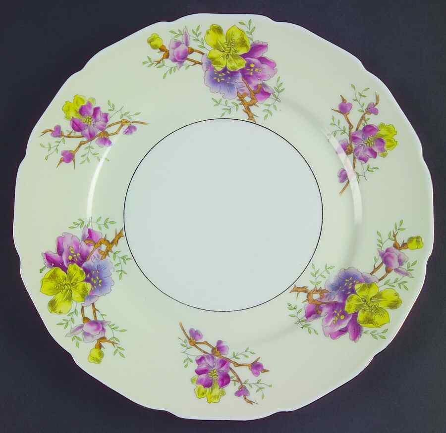 Apple Blossom (White Center, Cream Rim) Dinner Plate by Black Knight-1