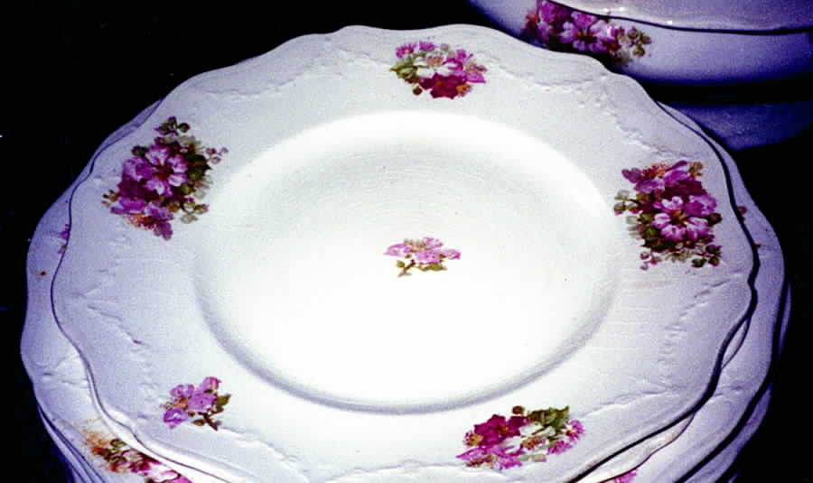 BSS46 Luncheon Plate by Bassett-1
