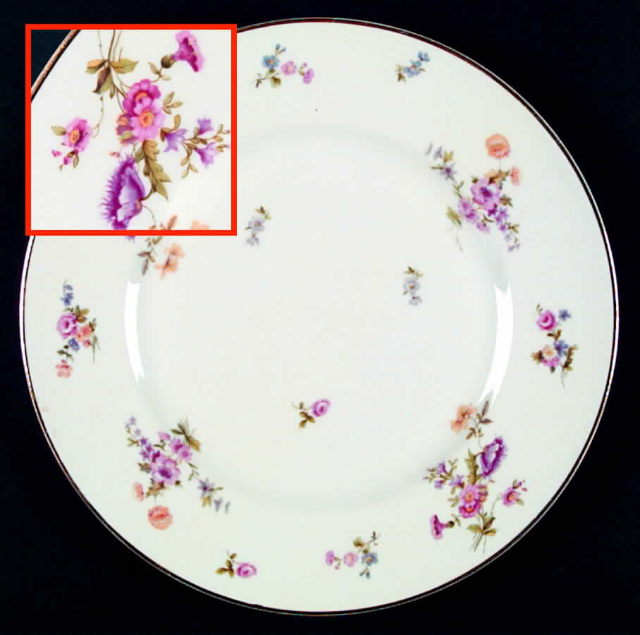 BER253 Dinner Plate by Bernardaud-1