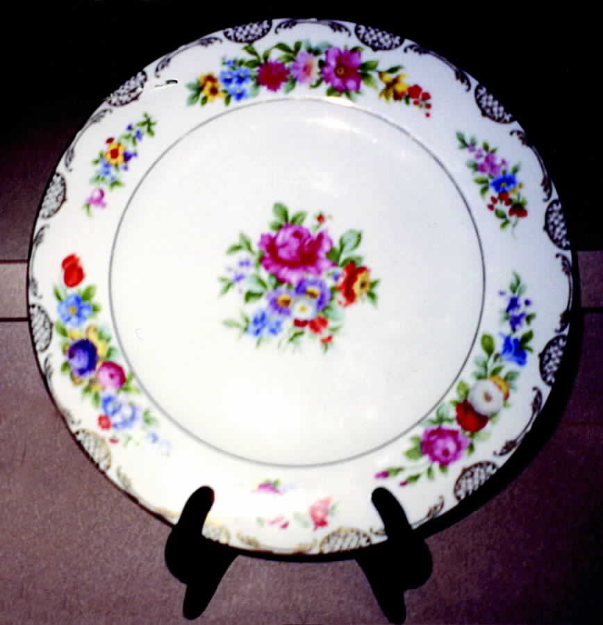 BAV140 Dinner Plate by Bavaria-1