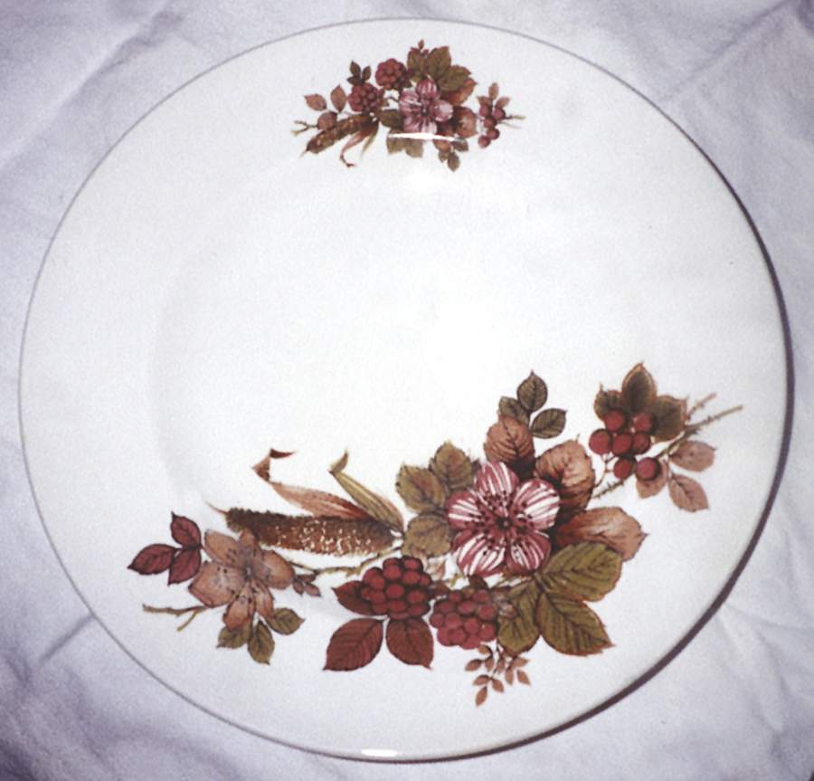 Bramblewood Dinner Plate by Barker Bros Ltd-1