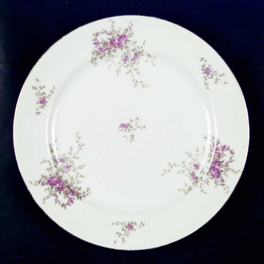 BWD317 Dinner Plate by Bawo & Dotter-1