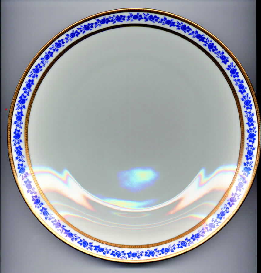 BTH108 Dinner Plate by Bareuther & Co-1