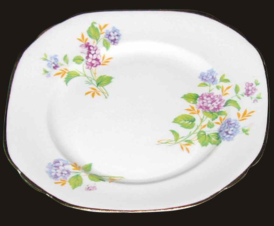 Byh1 Dinner Plate by Blyth Porcelain Co-1