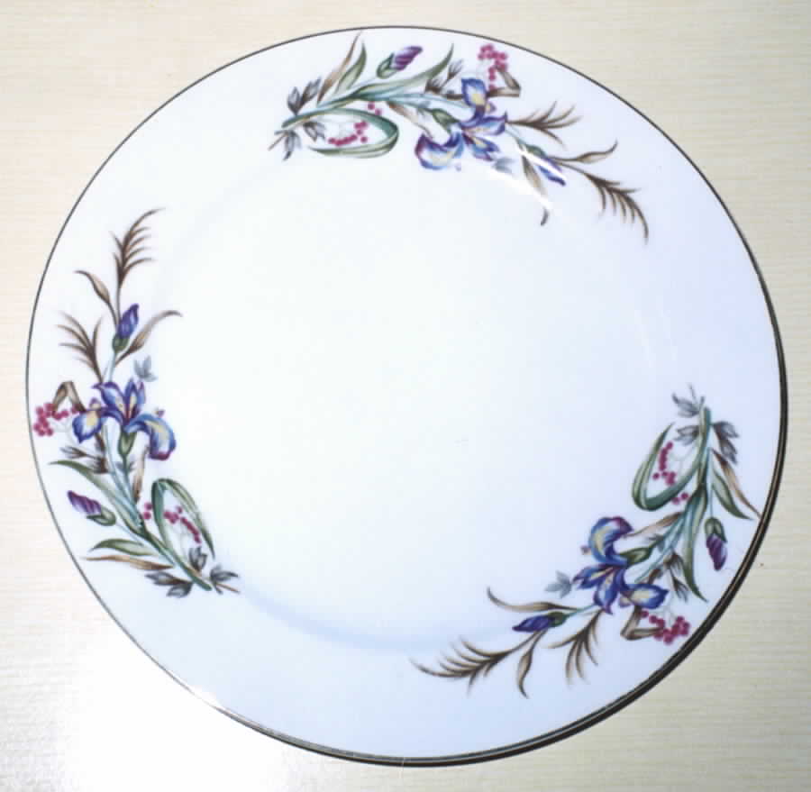 BSJ1 Dinner Plate by BS Japan-1