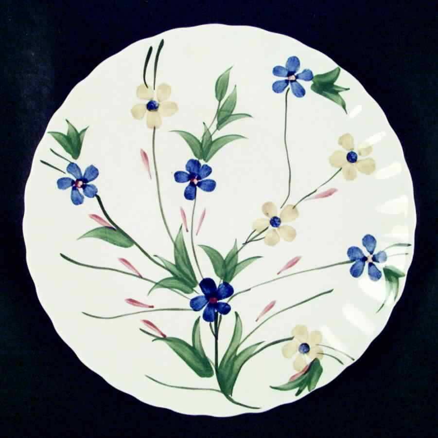 BRP84 Dinner Plate by Blue Ridge Southern Pottery-1