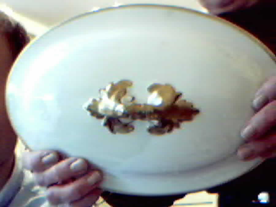 9420 Lid for Oval Vegetable by Booths-1