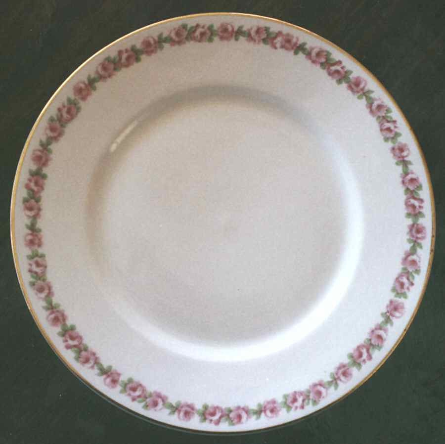 BER269 Dinner Plate by Bernardaud-1