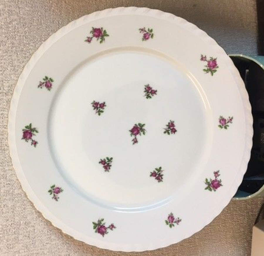BOH110 Dinner Plate by Bohemia Ceramic Works-1