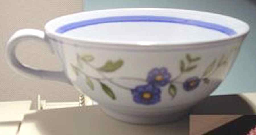 BCH12 Flat Cup by Boch-1