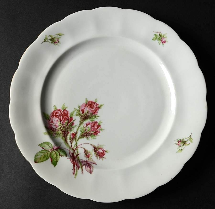 BAV158 Dinner Plate by Bavaria-1