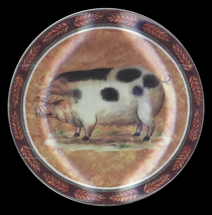 Farmyard Collection Salad Plate by Baum Brothers-1