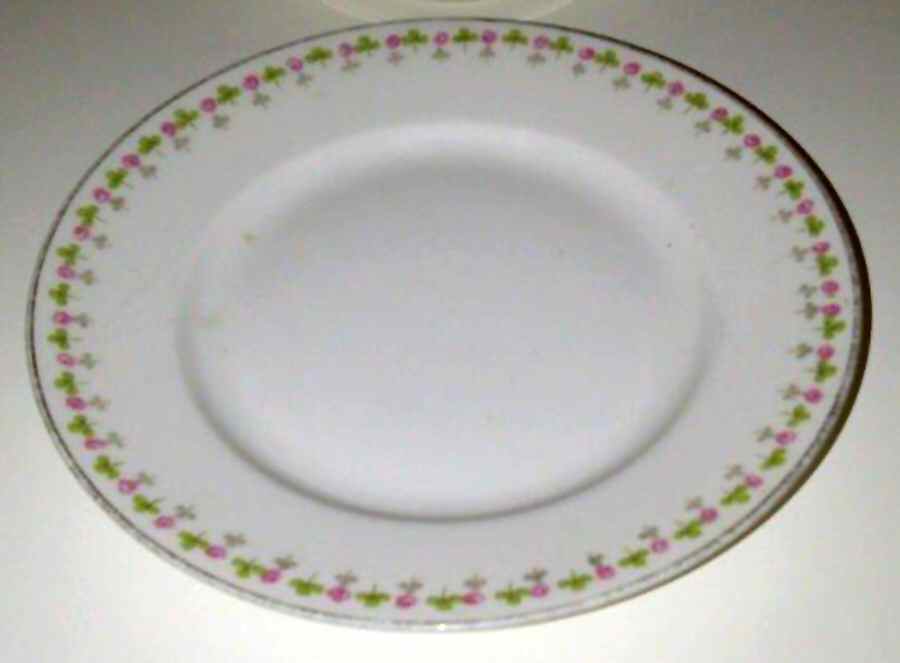 BWD353 Dinner Plate by Bawo & Dotter-1