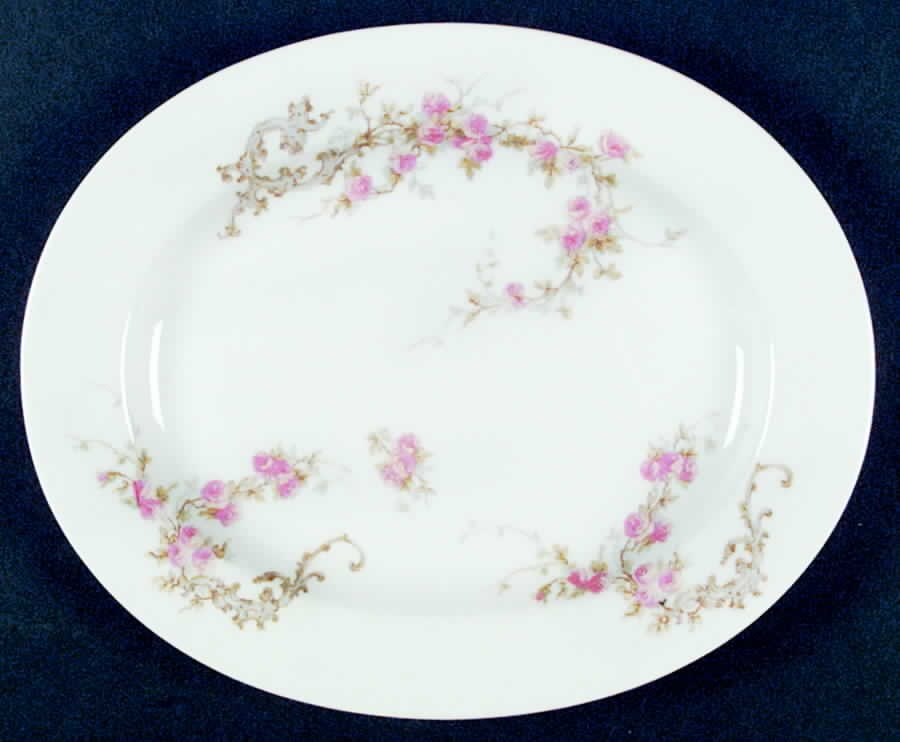 BER259 (Smooth) 11" Oval Serving Platter by Bernardaud-1