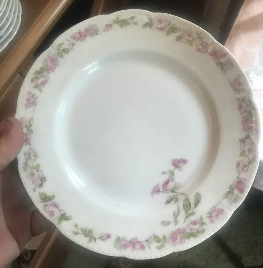 BSS57 Dinner Plate by Bassett-1