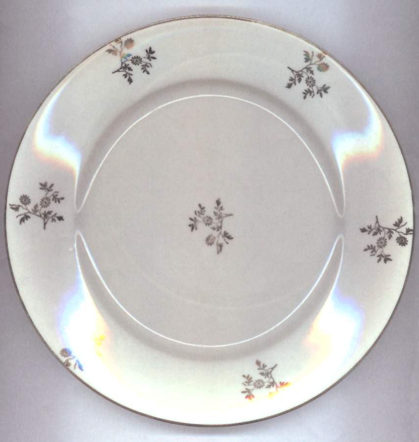 BAV165 Dinner Plate by Bavaria-1