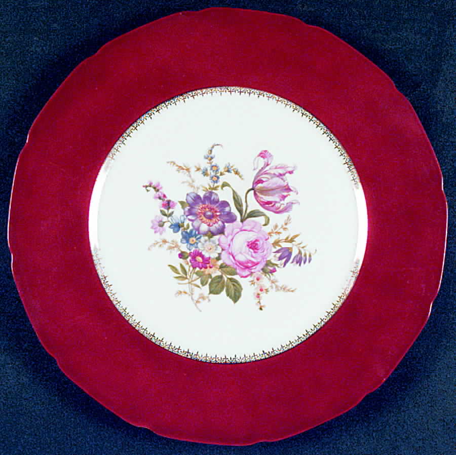 BAR53 Dinner Plate by Baronet-1