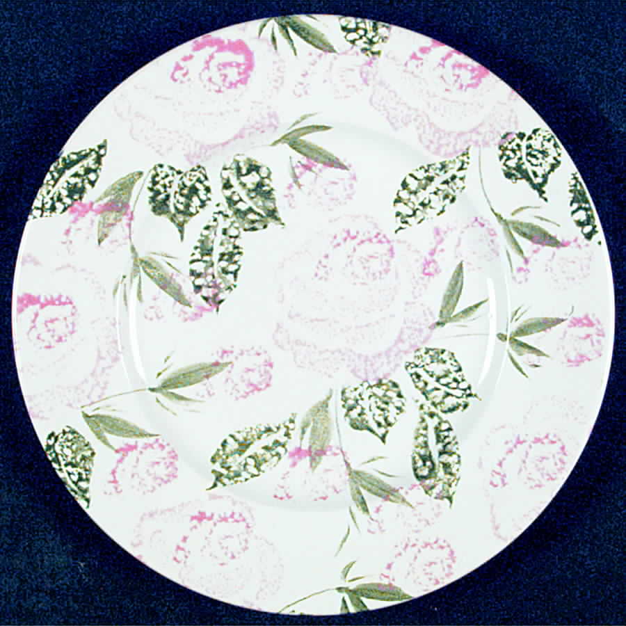 BUL28 Salad Plate by Burgess & Leigh-1