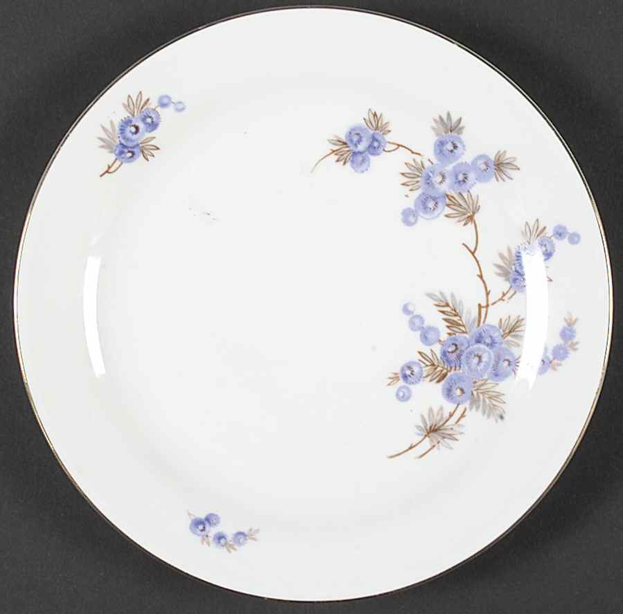 BAV170 Salad Plate by Bavaria-1