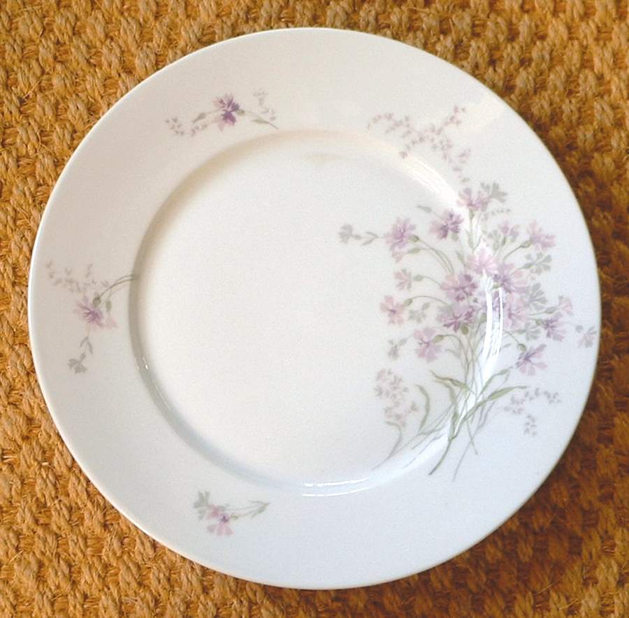 BAN6 Dinner Plate by Barny Rigoni & Langle-1