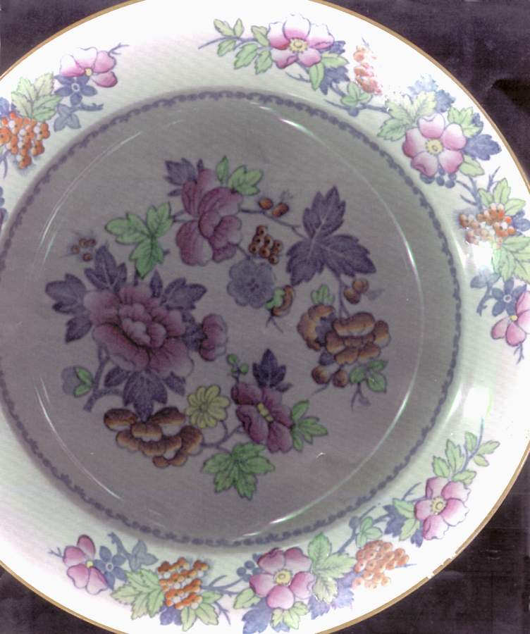 Lorna Doone Dinner Plate by Booths-1