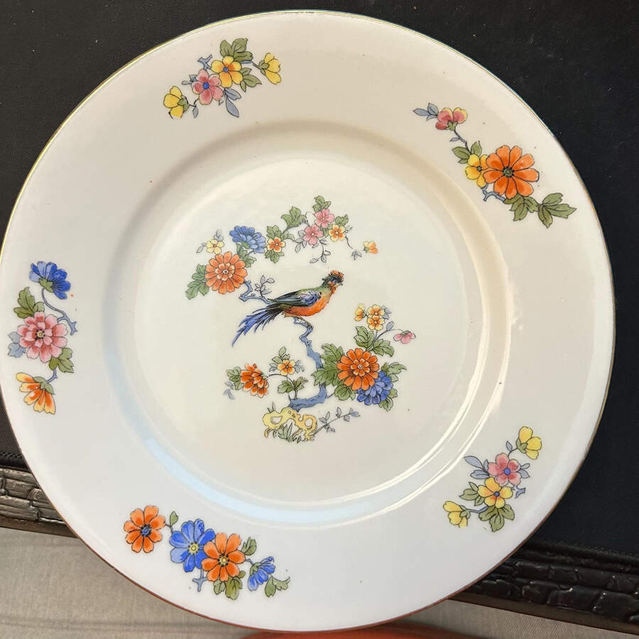 BCO20 Dinner Plate by Bloch & Co-1