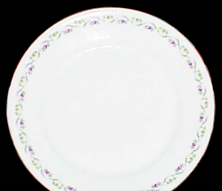 BTH124 Dinner Plate by Bareuther & Co-1