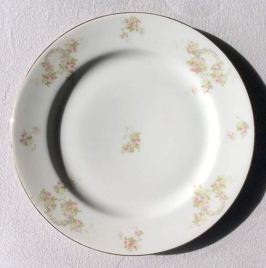 BWD383 Dinner Plate by Bawo & Dotter-1
