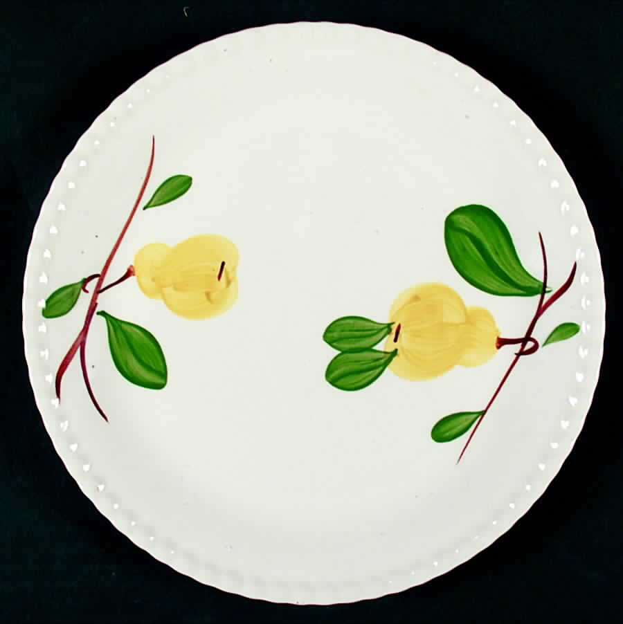 Bartlett Dinner Plate by Blue Ridge Southern Pottery-1