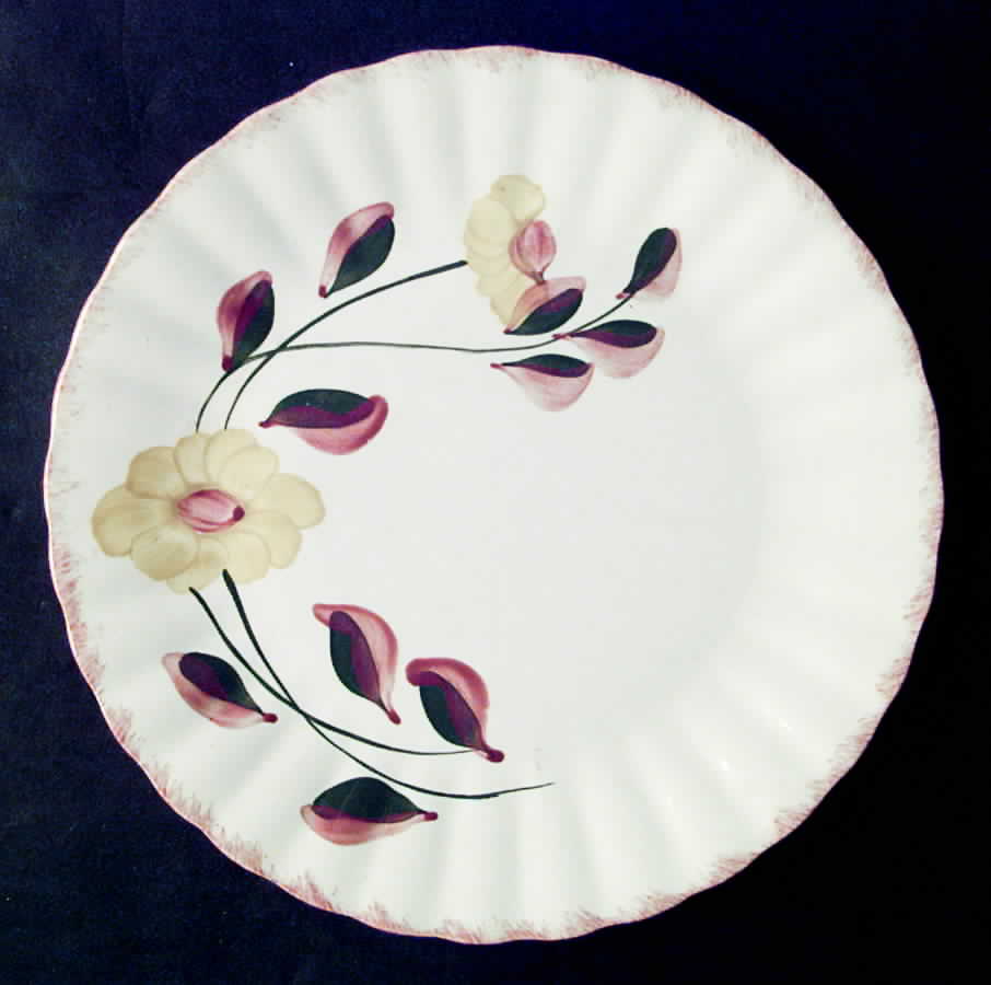 Country Road Variant Dinner Plate by Blue Ridge Southern Pottery-1