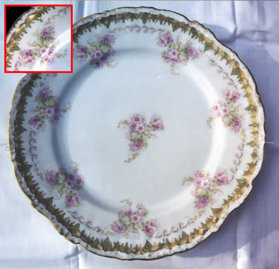 BWD386 Dinner Plate by Bawo & Dotter-1