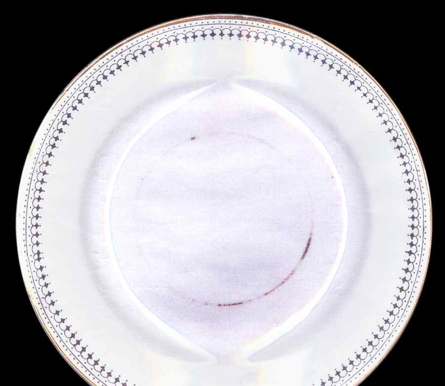 BYH4 Dinner Plate by Blyth Porcelain Co-1