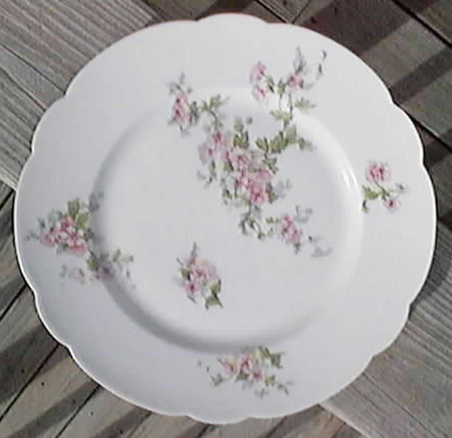BER346 Dinner Plate by Bernardaud-1