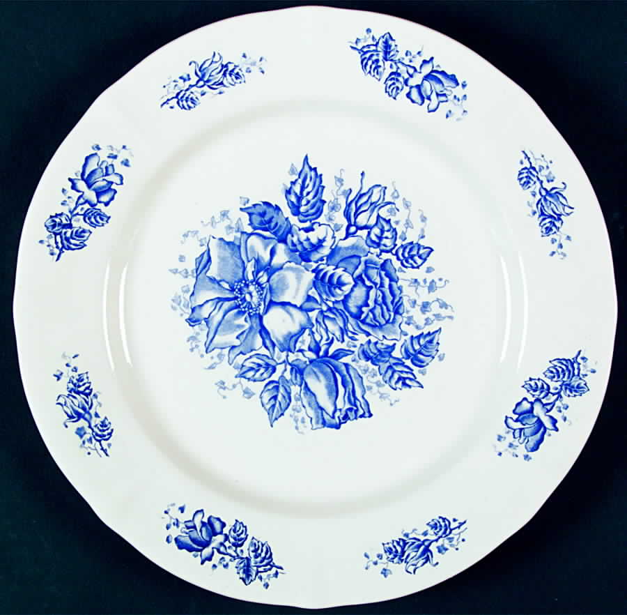 Douglas Dinner Plate by Boch-1