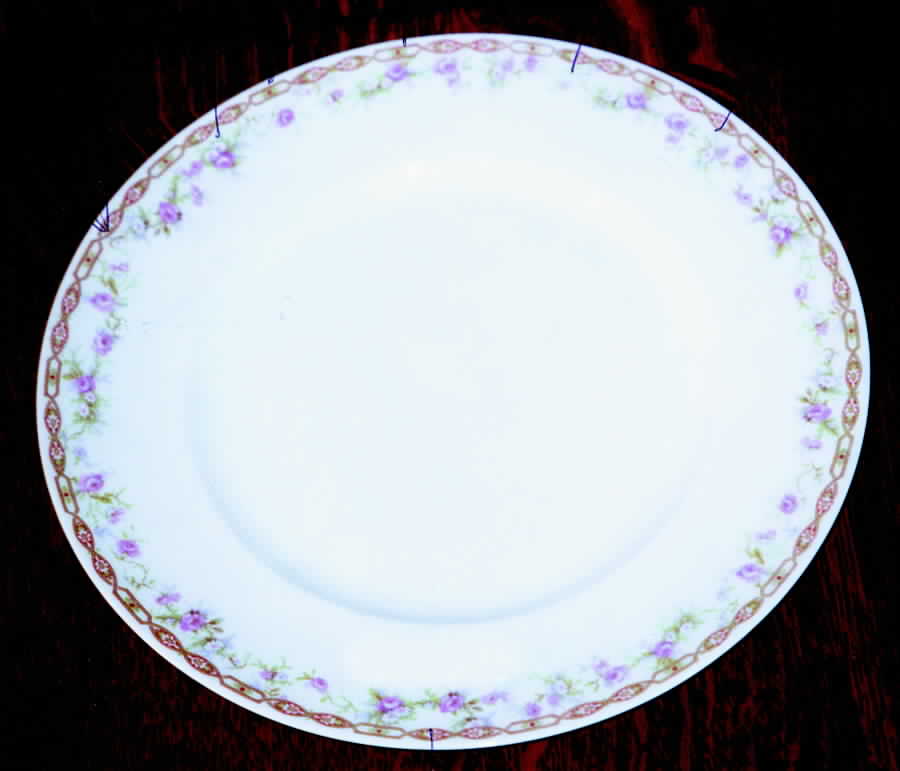 BER355 Luncheon Plate by Bernardaud-1