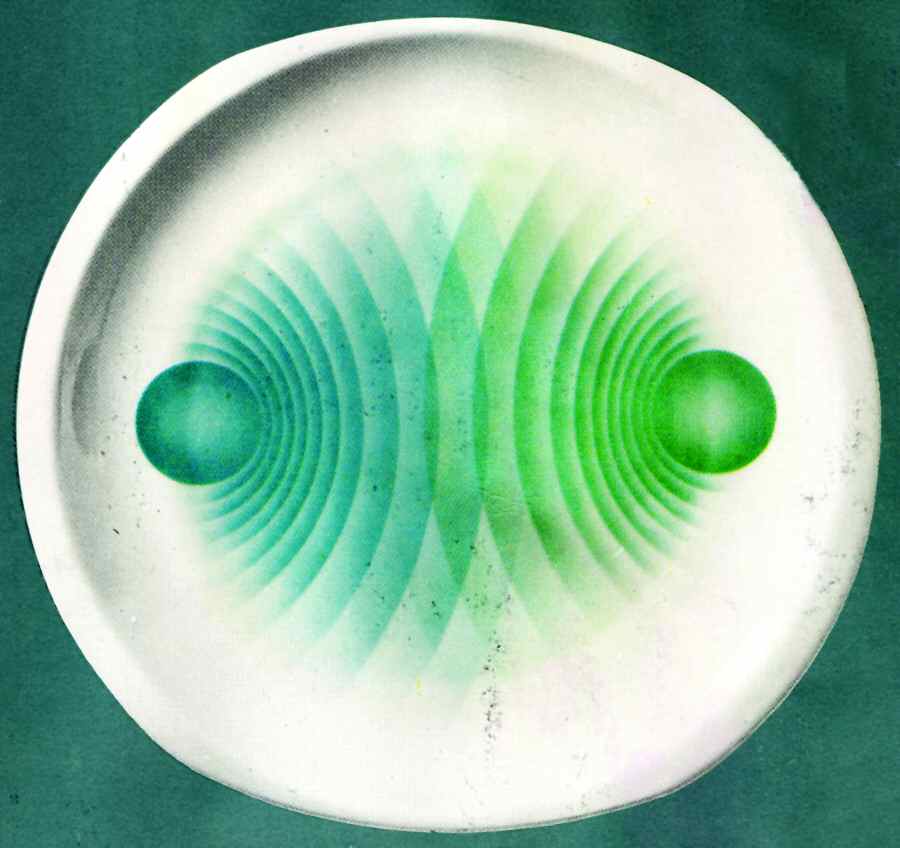 Oberon Dinner Plate by Bernardaud-1