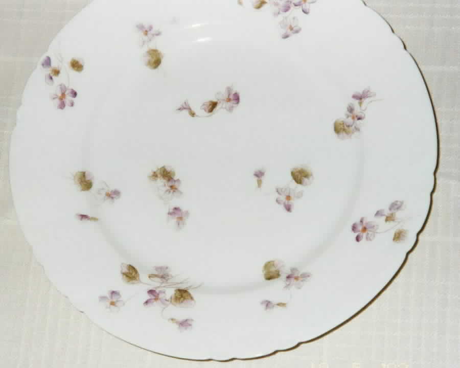 BSS62 Dinner Plate by Bassett-1
