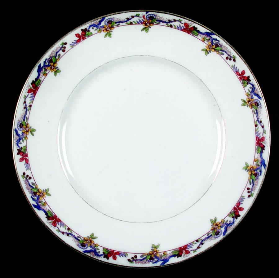 BER22V (VERGE) Dinner Plate by Bernardaud-1