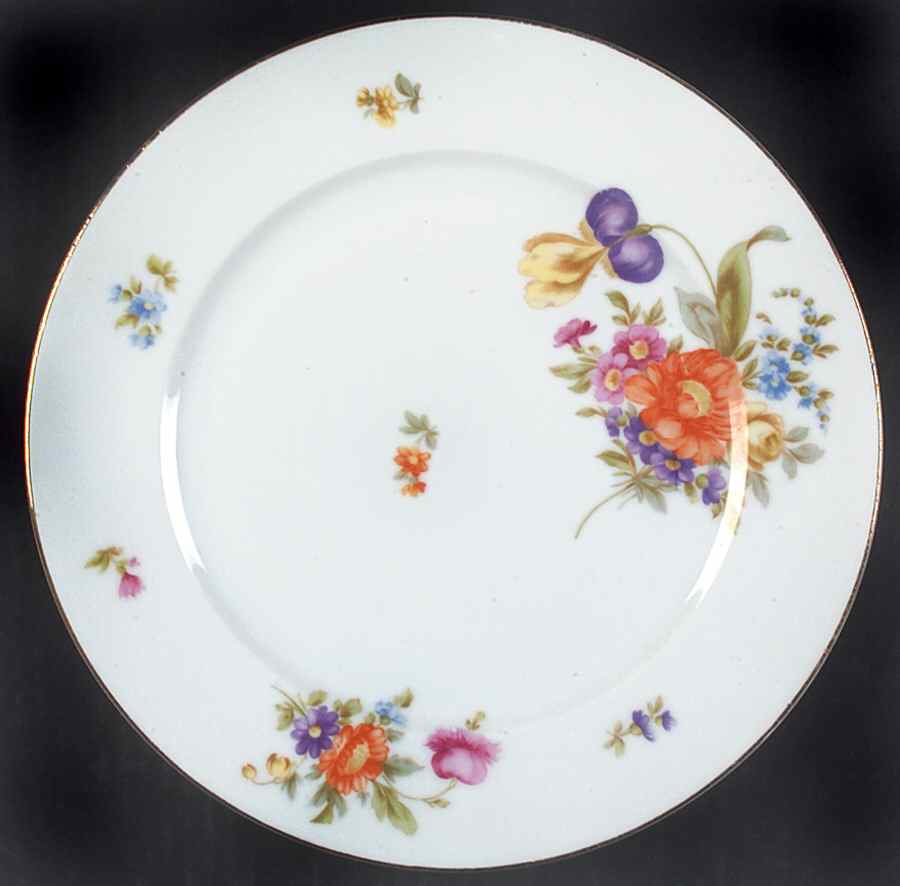 BAV180 Dinner Plate by Bavaria-1