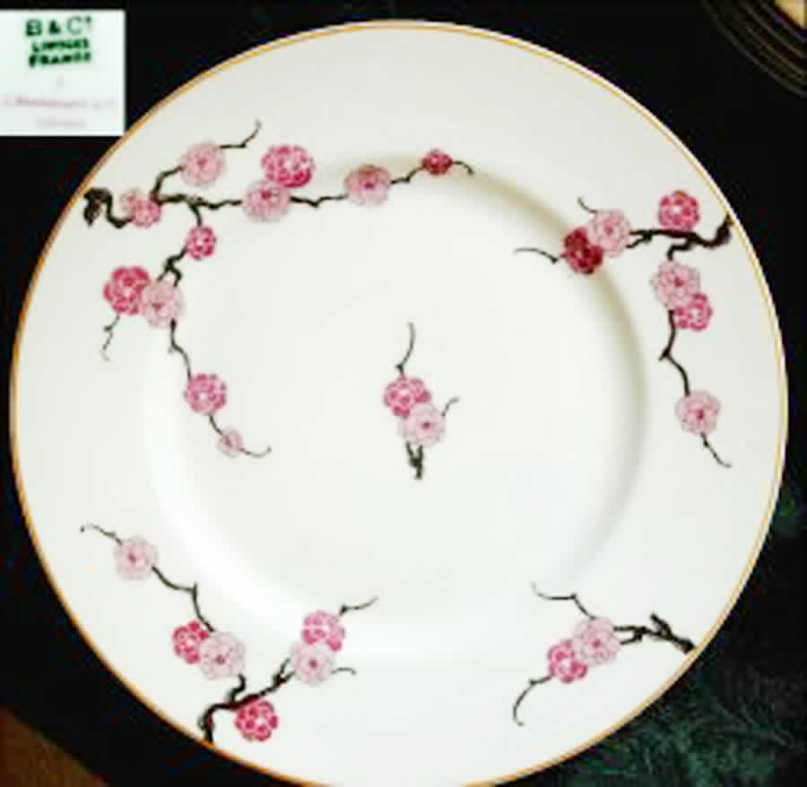 BER358 Dinner Plate by Bernardaud-1