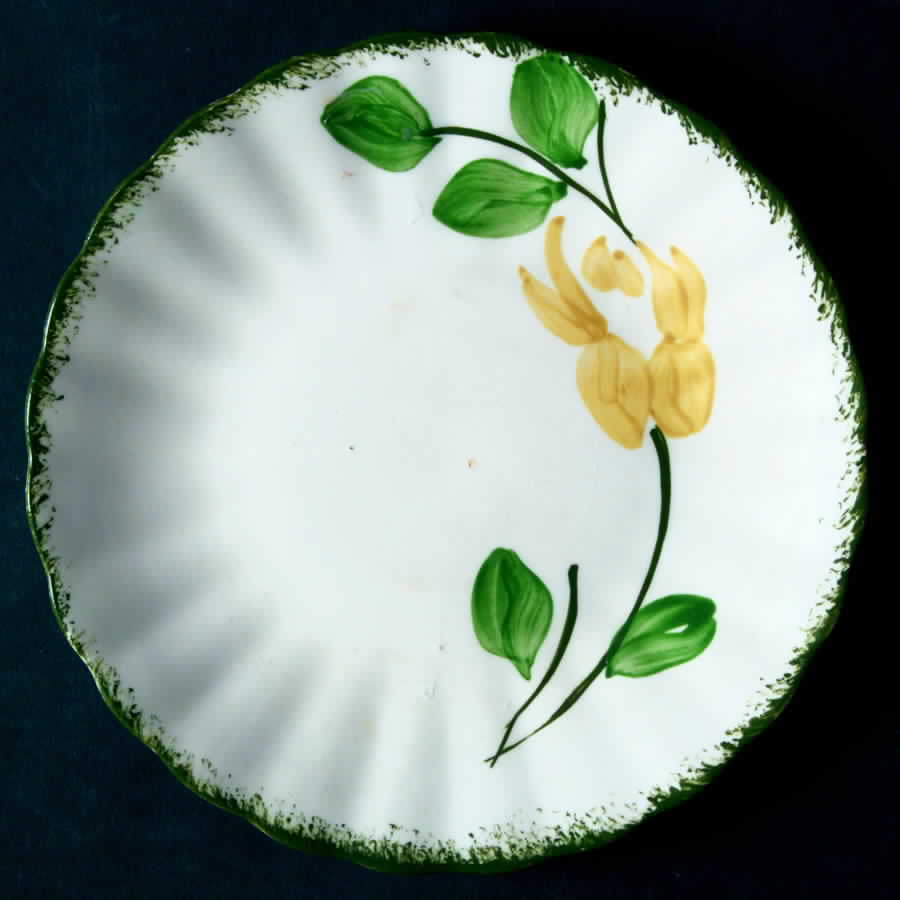 Yellow Iris Bread & Butter Plate by Blue Ridge Southern Pottery-1