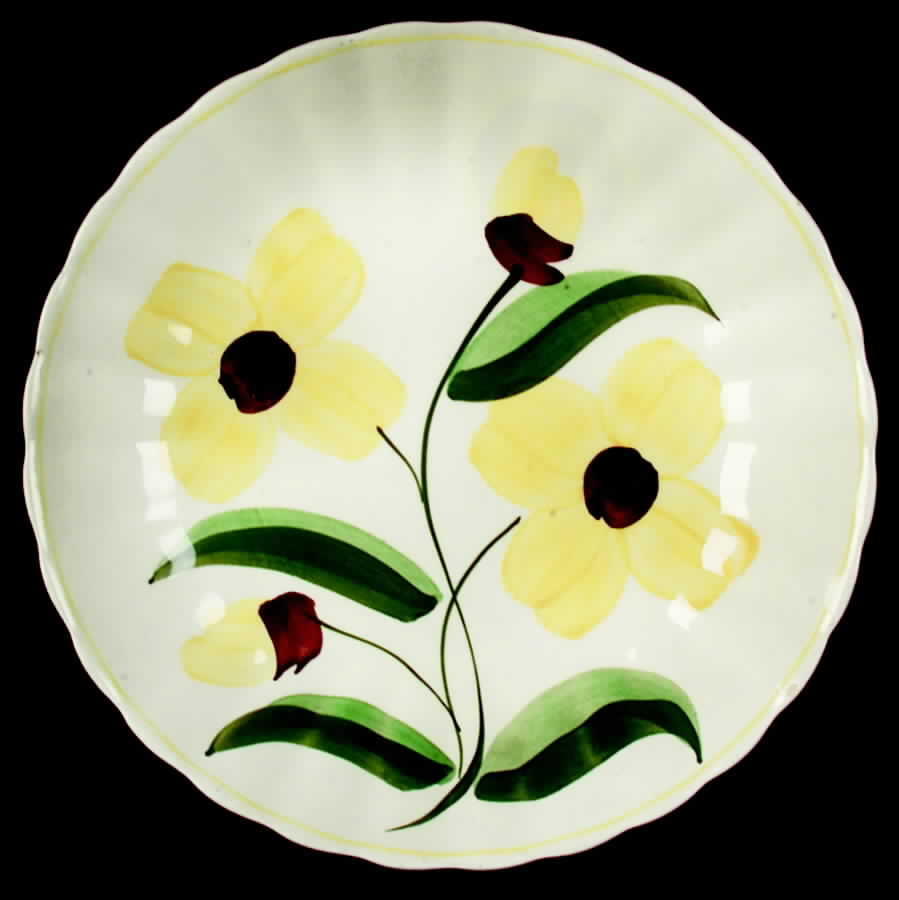 Celandine Coupe Soup Bowl by Blue Ridge Southern Pottery-1
