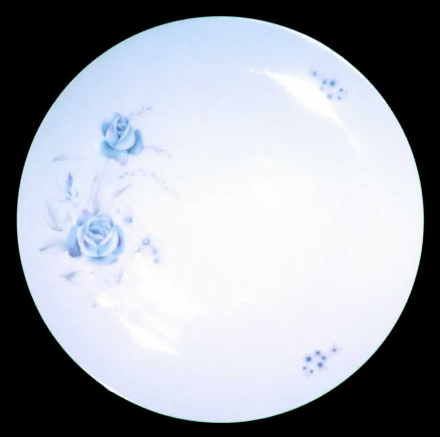 Dawn Rose Dinner Plate by Bohemia Ceramic Works-1