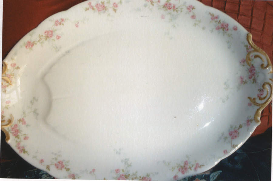 BER366 17" Oval Serving Platter by Bernardaud-1