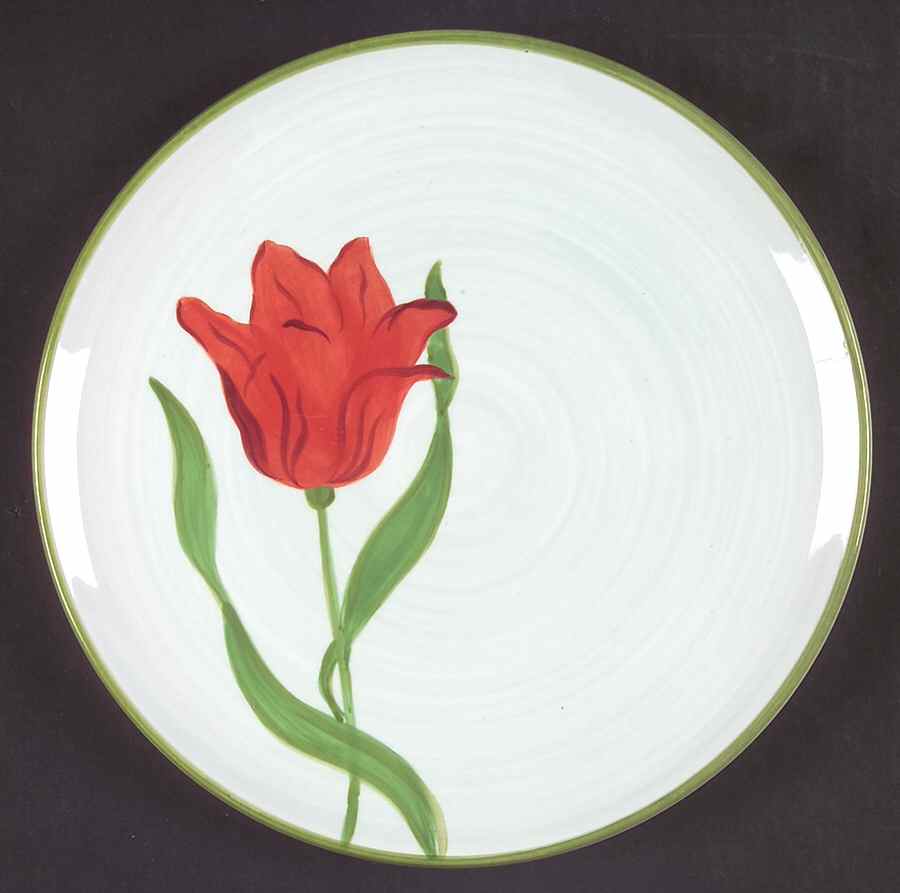 Handpicked Salad Plate by Block-1