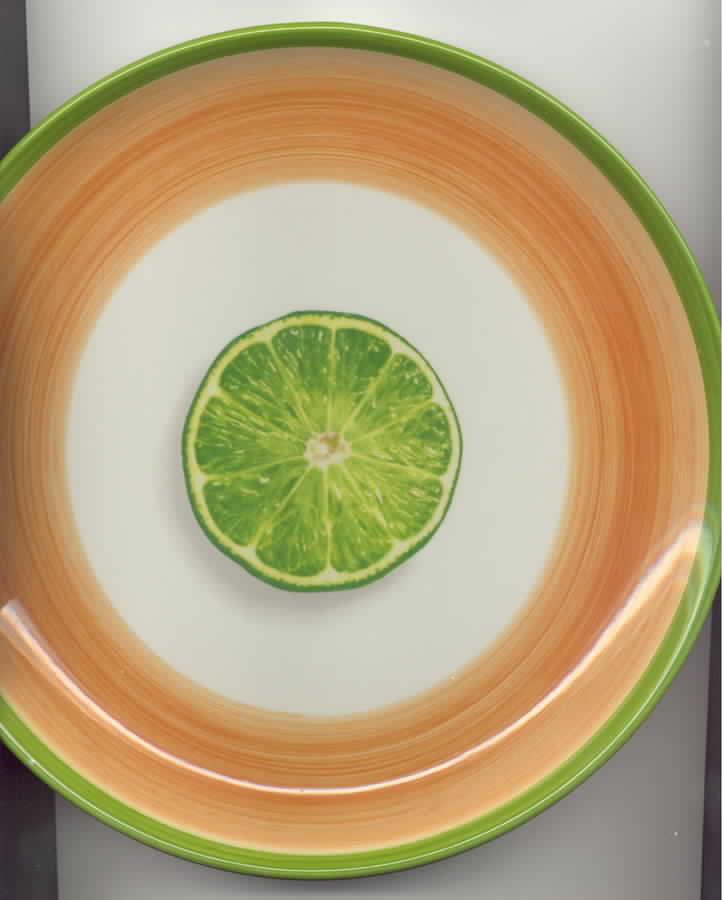 BNA5 Dinner Plate by Bernarda-1