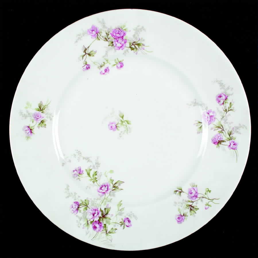 BER378 Dinner Plate by Bernardaud-1
