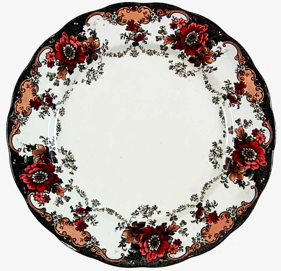 Bexley Dinner Plate by Bishop & Stonier-1