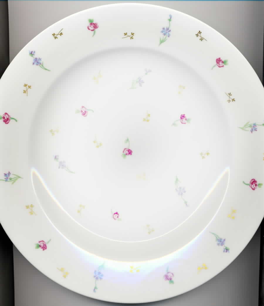 BER382 Dinner Plate by Bernardaud-1